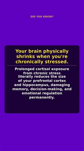 Your brain physically shrinks when you're chronically stressed.