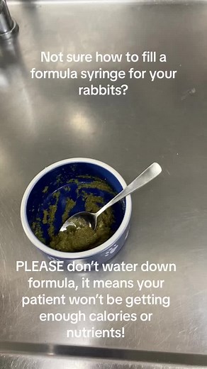 Exotic Vet Nurse Training Conference: Tips for Working with Unusual Pets