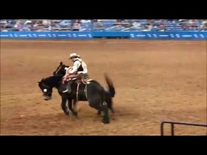 Houston Rodeo Scary Falls And Fun Bronco Bareback and Bull Rides March 8 2019