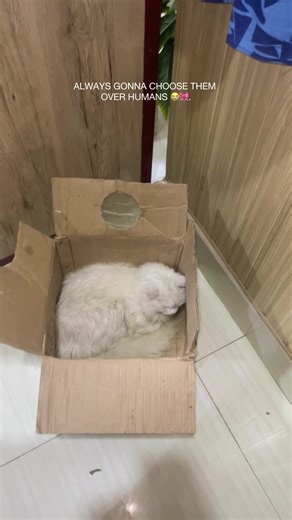 Get Well Soon Little Baby – A Heartfelt Message