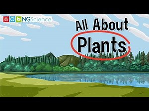 All About Plants