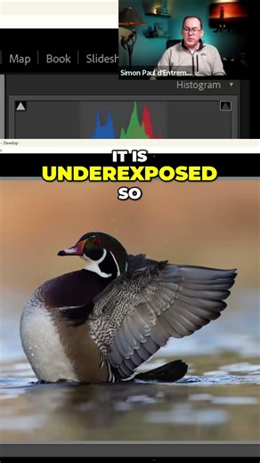Fix Dark Photos FAST! Lightroom Exposure Tips for Stunning Shots!