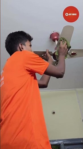 Best Pest Control Service in Bangalore 2025 | Just knock Company | Affordable & Safe