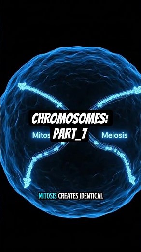 Part 7: Chromosomes and Cell Division