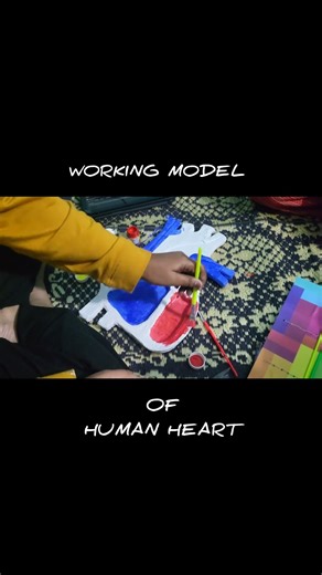 Human heart model ❤️#scienceproject p#schoolproject #science #heart #school #ytshorts