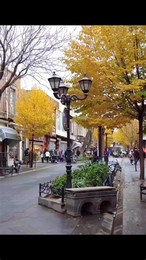 🌹🌹🌹A short clip of #Tabriz in #Iran. The historic Grand Bazaar of Tabriz is a UNESCO World Heritage site. The carpet museum of Tabriz is just magnificent. ❤️❤️❤️ | Iran Photos