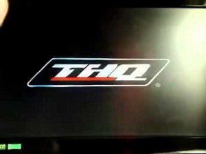 Nick Games / Nickelodeon Movies / THQ / Heavy Iron Studios