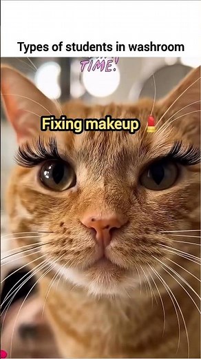 Types of students in washroom #cat #shorts #cute