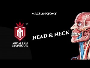 Head and Neck Anatomy Lesson | MRCS part B