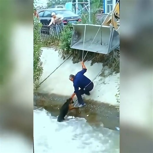 A heartbreaking yet heroic moment: this senior saved his dog from being swept away by the floods. 😢🙏💔 | Thank you Veterans