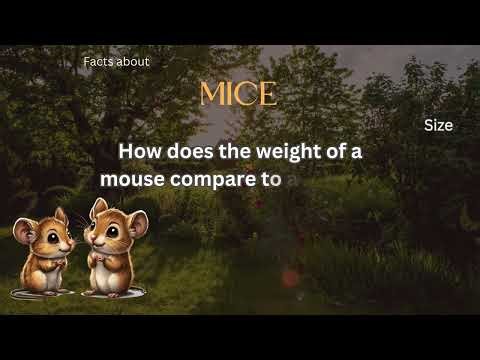 Mouse Fact 38 - How does the weight of a mouse compare to a human?