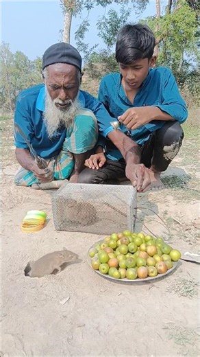 Village farmer rat hunting skill mouse killing trap 113 #rattrap #rathunter #villagelife #survival