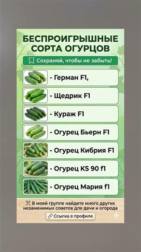 Лучшие сорта огурцов: что выбрать для своего огорода
