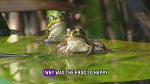 Hop into Hilarity: 30 Frog Puns & Jokes Guaranteed to Make You Ribbit with Laughter!