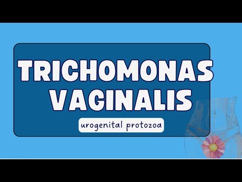 Trichomonas vaginalis || minor protozoa || chapter 53 || #mbbs #parasitology