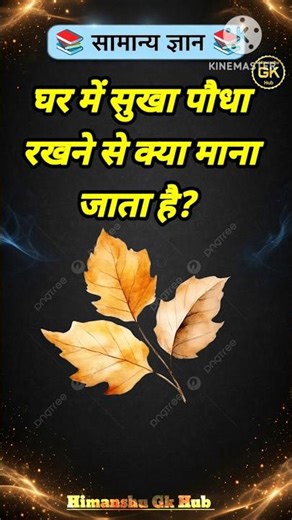 घर में सुखा पौधा रखने से क्या माना जाता है? #gkinhindi #gkquestion #gkshorts #gkfacts