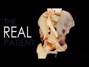 BodyViz | Easy-to-use 3D Anatomy Learning Platform.