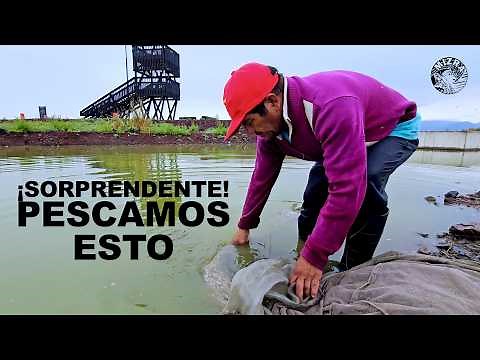 Fishing for charales in Lake Texcoco