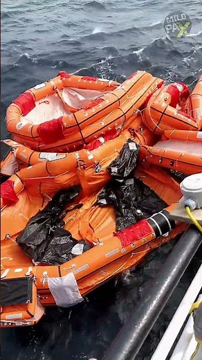 Could This Be the Last Chance to Survive a Sinking Ship? 😳