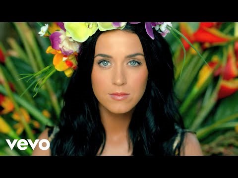 Katy Perry「Roar」 歌詞、日本語訳徹底解説！【リクエスト募集中】
