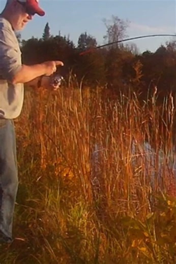 Quick Northern PIke Catch!