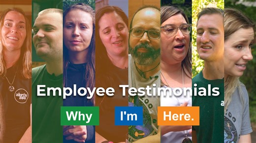 The Akron Zoo has the most dedicated, passionate employees - from animal care to guest services to maitenance, our team is the best! And you can join our crew! We're hiring for the remainder of our busy season, running through Dec. 31 and including Boo at the Zoo and Wild Lights. Apply now: https://www.akronzoo.org/seasonal-jobs Positions are available on our custodial, guest experiences, food service and gift shop teams. Employees receive discounts, flexible schedules and the chance to make a r