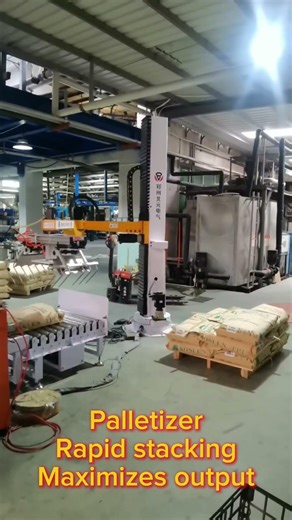 Palletizer,Rapid stacking, Maximizes output.#palletizer #depalletizing #unpackaging #feeding.