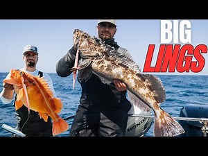 Deep Reef Fishing [Chasing GIANTS!]