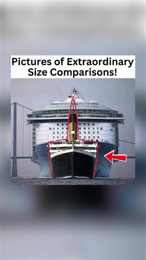 Pictures of Extraordinary Size Comparisons 😳 #didyouknow #fyp #thingsyoudidntknow #interesting #sizecomparsions #biggerthanyouthink
