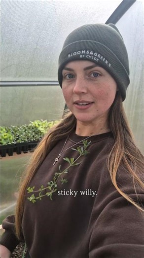 One of the best spring tonics!!#cleaver