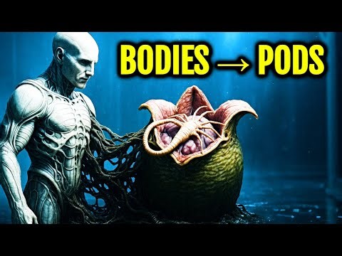 What If Alien Eggs Aren’t Eggs At All? The Ovomorph – Explained