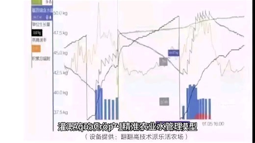AquaCrop・精准农业水管理，农田灌溉，作物水分效率优化核心技术。气象 / 土壤 / 作物数据准备→模型运行分析，灌溉策略优化 / 产量预测
