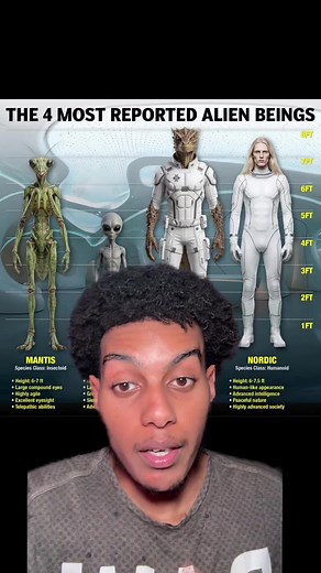 4 types of alien species declassified by the U.S. Government | nordic aliens