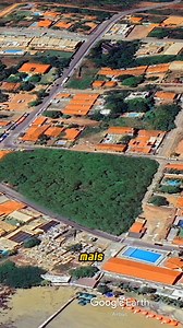 Cajueiro de Pirangi Rio Grande do Norte. #natureza #Pirangi #natal #historia #curiosidades #fatoscuriosos | Fatos Curiosos