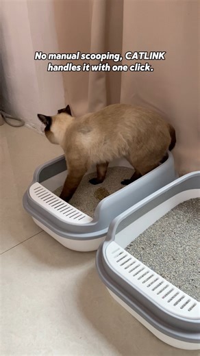 Catlink self cleaning cat litter box #catlink #catproducts #cat #catlitterbox #petproducts #cathealth #clean #ailitterbox | Meow’s picks