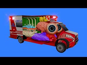 How an Ambulance works