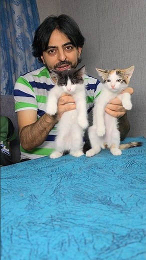 مين فيكم يحب القطط 😺🦊 عطوني رايكم حلو الاسماء