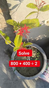 Solve it Math Test Solution | M Mathematics