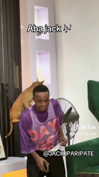 Jack The Dog Sings Trending TikTok Hits