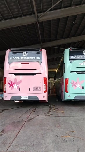 Executive Deluxe and Executive Sleeper Bus 𝗚𝗩 𝗙𝗟𝗢𝗥𝗜𝗗𝗔 𝗧𝗥𝗔𝗡𝗦𝗣𝗢𝗥𝗧 𝗜𝗡𝗖. GD211 and S0026 🩷💚 #Florida #Transportation #Biyaheros #BusReels #DriveSafe #GodSpeed #fblifestyle #PJBusPhotography #PJBusReels | PJ Bus Photography