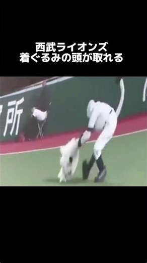 野球マスコットハプニング場面#面白集 #おもしろ #おすすめ #野球 #お笑い #おすすめ