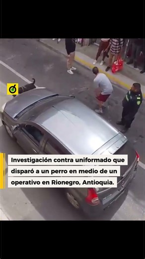 Investigan a uniformado que disparó a un perro en Rionegro, Antioquia.