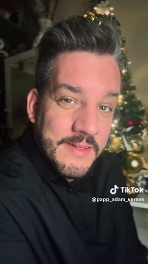 Áldott, békés karácsonyt kívánok mindenkinek🎄 . #karácsony #vers #adyendre #fyp #nekedbe