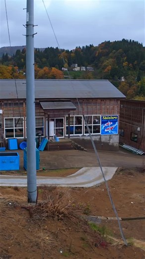 Spending rainy days at the Shintaro Koi farm 🌧️ 🐟 #japan #koi #rain #cloudy #fish | Ohio Koi