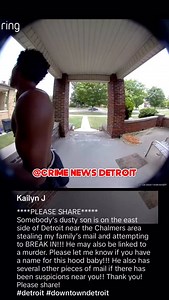 54K views · 576 reactions | Attempted B&E on #Detroits east side | Crime news in detroit | Facebook