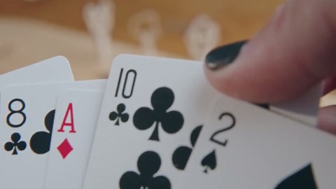 Colorful Maple Wood Cribbage Pegs: Wildlife & Animal Designs on Both Sides - Etsy