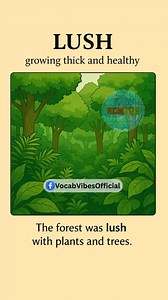 92K views · 994 reactions |  Word Power Series Vocab Vibes  (15 Days of Vivid Vocabulary)  Every day, meet a new word brought to life with colorful visuals and clear examples. #vocabulary #learnenglish | Vocab Vibes | Facebook