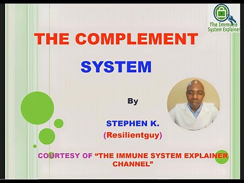 Complement System Activation