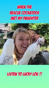 When my two rescue cockatoos met my daughter. They were showing off like crazy! #happybirthday #parrot #birds #cuteanimals | Lucky Lou and Coco Too