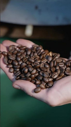 How Sustainable Coffee Farming Really Works 🌿☕